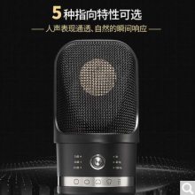 NEUMANN ¹ŵ TLM107 ¼ﻰͲרҵ˷ 5ָ ɫ)