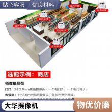 大华丰视DH-P20A1枪型200万高清监控网络摄像机