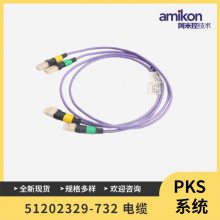 51202329-810 չ  C300