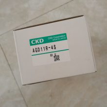 CKD,ֹ,LGD21-8S