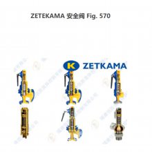 ZETEKAMAֹFig.215215C080C71