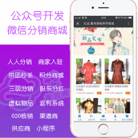 ںСAPP̳ϵͳ
