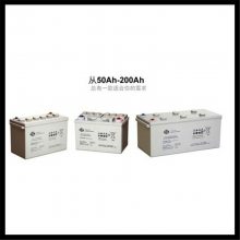 6-FMX-80/˫12V65AH