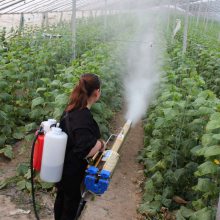 出售脉冲式迷雾机 苗圃种植汽油烟雾机 果树农用打药机