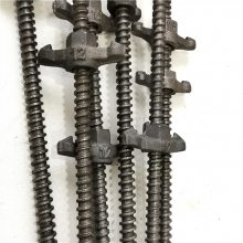 G175ǿ˿ ߲㽨 ˳˿˳ ߴǿȸ