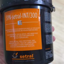 ʶSYN-setral INT/300ģ߶°