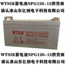 WTSIRNPG100-12 12V100AH UPS/EPSֱ׹̫Ӫ