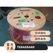 CAT6A-UB-07 , 7Ӣ CAT6A ɫ TERA GRAND