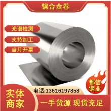 UNS 310LMNְ 318 豸ԭ