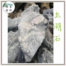 宁远太湖石假山，太湖石原厂地，桂阳太湖石批发，假山石造景出售