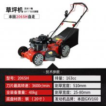 GXV160ݻ20ʽݻƲݻƺ޼KZ206SH