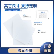 腊叶标本台纸 植物标本制作专用纸 多规格可选 厂家直销 可开票