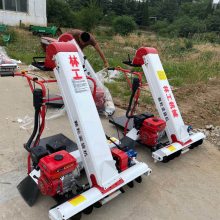 小型晒场小麦粮食装袋机厂家