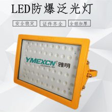 CCD97-200WLEDͶ վú
