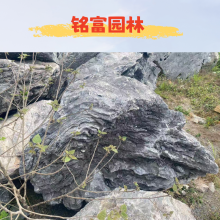 社会中的景观石哪种比较热门,热门的黑山石产地在广 东省