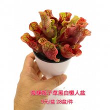 _԰_̴_ṩ̽