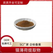 薄荷提取物 速溶粉 浸膏粉 浓缩干燥 10：1 可定制 益生祥生物