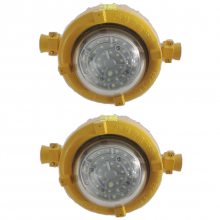 ú÷LED͸DGS40/127L(A)