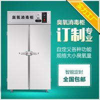 飞立定制型臭氧消毒柜 紫外线高温臭氧工业大型臭氧消毒柜