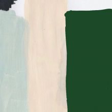 Ƶװƣɫʰ쵵װλ֮51Aƻ