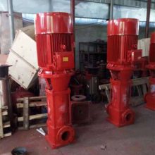 消防稳压泵组增压泵6524-12*2GDL立式多级消防泵