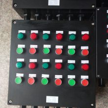 BZC8050-A2D2G