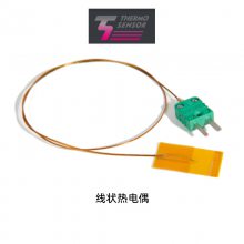 ¹THERMO SENSOR¶ȼ422-11-31ȫԭ