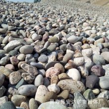 ���﹩Ӧ����ʯELS88 ˮ�������� ��԰��·�쾰�껨ʯ5-8cm
