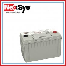 Enersys12NXS86 ܷⷧʽ 12V86AH õԴ AGMά