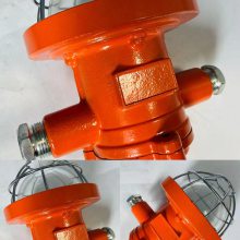DGC18-22/127L（A）铸钢圆形采掘工作面支架灯 矿用隔爆型LED支架灯