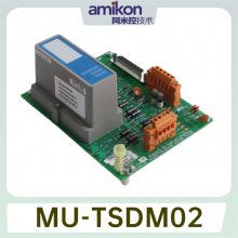 MU-TDID1251304441-125