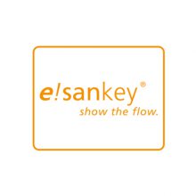 【e!Sankey 丨 桑基图制作软件】正版价格，制图工具，睿驰科技一级代理