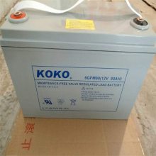 KOKO蓄电池6GFM17 12V17AH直流屏 UPS后备系统机房UPS/EPS