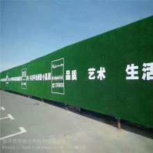 工地围挡草皮 施工绿化草坪网 建筑绿化人造草