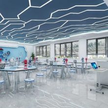 ��СѧSTEAMʵ���ҡ�С��רҵSTEAMʵѵ�ҽ��跽��