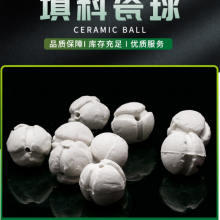 供应惰性氧化铝瓷球 耐火瓷球 蓄热瓷球