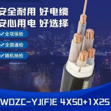 ֻZC-RVV-0.5KV-3*2.5mm2㶫ҵ