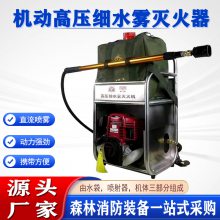移动式直流喷雾水枪机动高压细水雾灭火器背负式森林消防灭火机