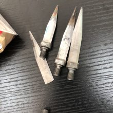 ɽѸӦ¯ȴȥȥӦCBNͷͭͭ²