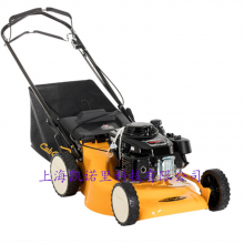 ƵCub Cadet 19CUT880ĳ̱ﶯƺƲݻ
