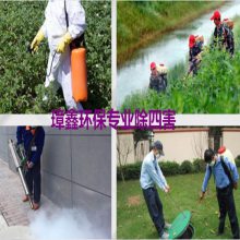 빫˾ Ϻĺ ó 溦