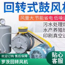 回转鼓风机 一体化水处理 小区污水处理噪音低