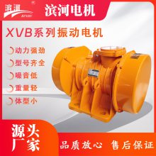 滨河XVB-20-4振动电机,IP55防护等级,使用寿命长