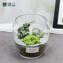 DIYֲ 人ֲ ԰ֲ ̴԰