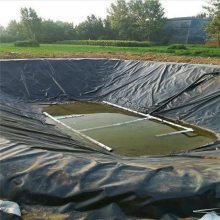 鱼塘泥鳅池水产养殖专用黑膜 定制尺寸 全国可发