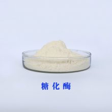 ǻø ǵø Glucoamylase Ӳֱ
