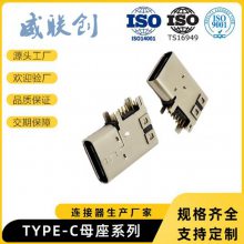 ̽ TYPE Cĸ ʽƬ USB 3.1ĸ 180ֱʽ L=10.5 24Pʽ