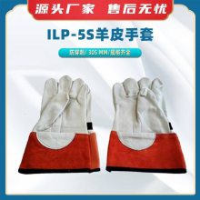 ILP-5SƤSalisburyҵԵƤ