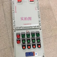 防爆配电箱 接线箱 非标防爆控制箱 气体防爆
