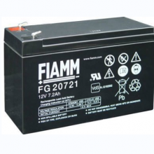 ***12V18AH ҽϵͳ FIAMMFG21803